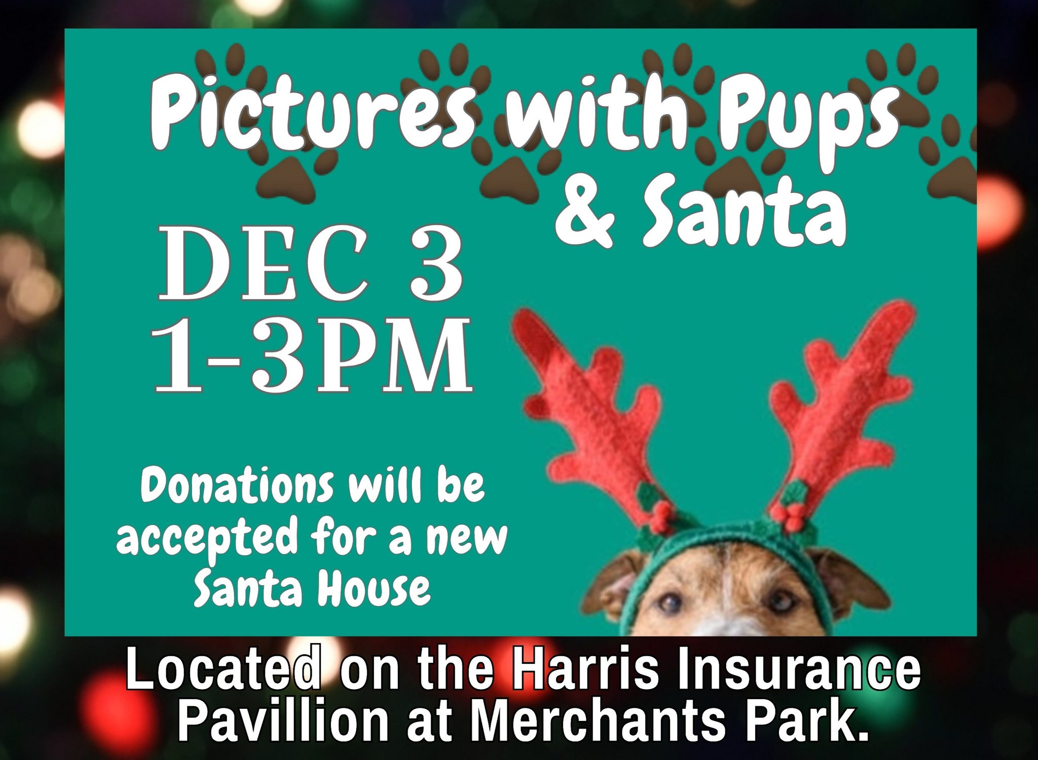 Pictures with Pups & Santa